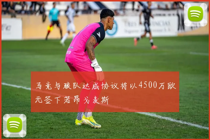 马竞与狼队达成协议将以4500万欧元签下若昂戈麦斯