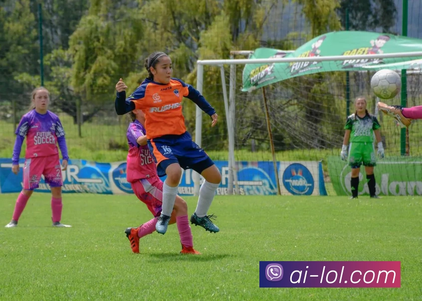 奖项证书
