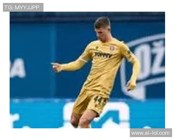 热刺对武什科维奇在汉堡的外租表现表示满意视其为球队重要一员