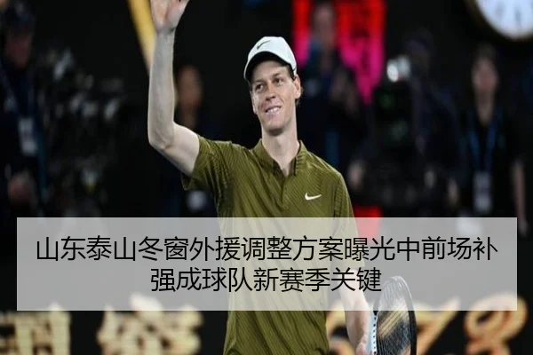 山东泰山冬窗外援调整方案曝光中前场补强成球队新赛季关键 - aiyouxi
